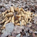 화령농장 이미지