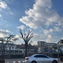 팔달구청 | [행궁동 주차장 추천] 팔달구청 수성화성박물관 주차장 이용 후기