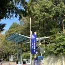 인천사랑병원 | 2025, 제3회 인천사랑 걷기대회 후기 🍁🚶🏻‍♀️🌾