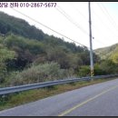 오리개윗골천 이미지