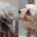 미용농장 이미지