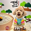 피엔앰솔루션