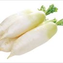 125활인건강 이미지