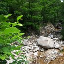 법화사지 이미지