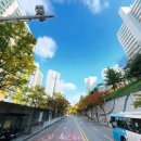 유림-1099 이미지