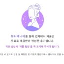 마일드뷰티 - 평택시 | 마일드뷰티
