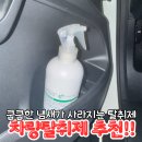 숨이든 | 차량용탈취제 클린드플래르 더숨 제올라이트 룸스프레이 사용 후기