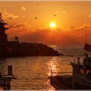 주전마을 이미지