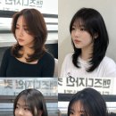 로이드밤협동조합 | 천안 쌍용동 중단발 레이어드 잘하는 곳 로이드밤 쌍용점 유이