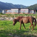 언덕위 작은집 이미지