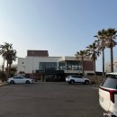 세화여행사 - 금정구 금정로 143-2 | 제주도 2인 숙소 추천, 세화해변 제주 감성 가득한 오션뷰 MJ 리조트