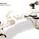 대양 (태권도) 이미지