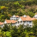 대아스크린골프 이미지