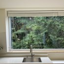 글리제977 이미지