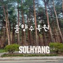 [강릉] 솔향수목원 열대식물원 방문 후기 강릉 여행 가볼 만한 곳
