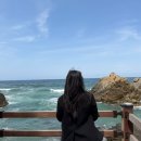서울덕수초교 수영장 | 3일 강릉/삼척 여행 코스 DAY2 (현대장칼국수, 서울양계, 정동심곡 바다부채길, 유채꽃밭, 숙소 이클리프)
