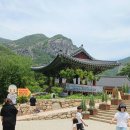 늙은 호박의 효능 8가지 이미지