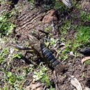 남형농장 이미지