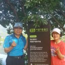 위양지 관광농원 이미지