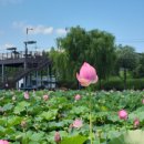 함안볼링장 이미지