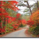 사랑-동행 이미지