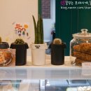 공개정원