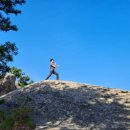 진식태극권수련원 이미지