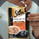 프리미엄캣 이미지