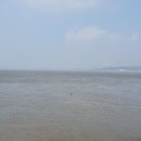 서영택농장 이미지