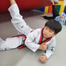 용인대 홍익 태권도장 이미지