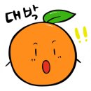 장보고家