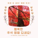 코리아드림 주식회사 이미지