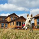 하트민박 이미지