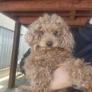 부곡파출소 이미지