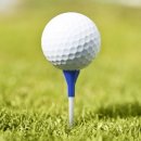 (주)티블루 이미지