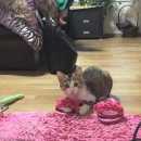 박진석성형외과의원 이미지