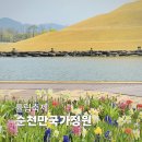 튤립 | 순천만국가정원 튤립축제 2026 후기: 입장료 개화상황 지도 포토존 총정리