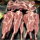 양도둑 선학점 | 선학동맛집 맛있는 양고기를 먹을 수 있는 양도둑 선학점