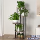 모스커피 이미지