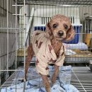 수도마을회관 이미지