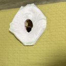 몸사랑지압안마원 이미지