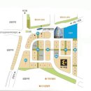 메이저리치안 이미지