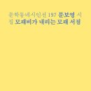 모래비