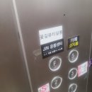 샬롱꽃