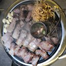 고기그자리