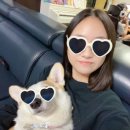 계란은삶의의미를찾는 | 상실과 맞부딪히며 삶을 이겨낼 수 있는 것은 오로지 생기