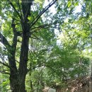 내곡동417 이미지