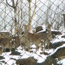 석호농장 이미지