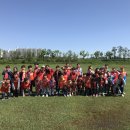 금성스쿨 이미지