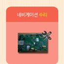 팔마카오디오
